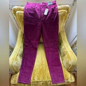 Express Magenta Velour Skinny High Rise Pants